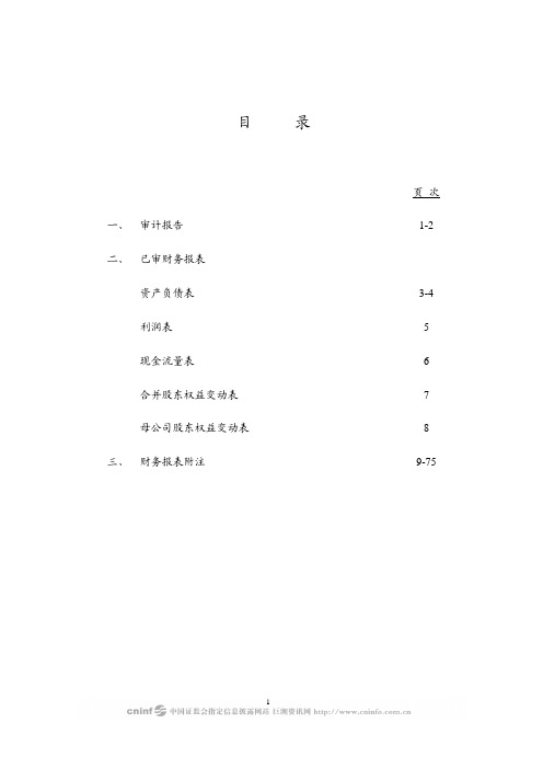 路翔股份：2009年年度审计报告 2010-04-10