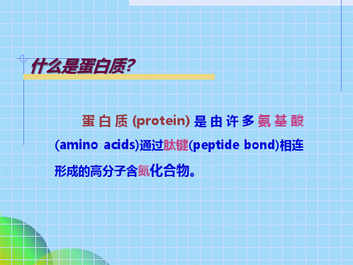 生物化学第1章蛋白质的结构与功能(共89张PPT)