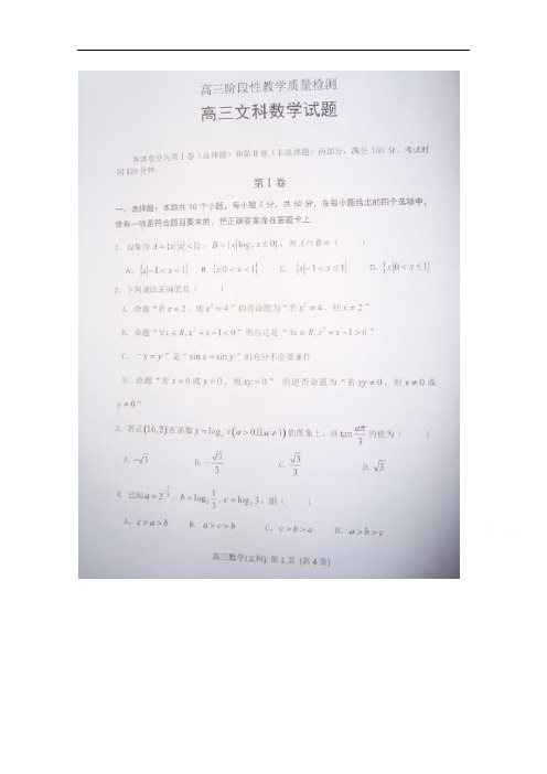 山东省潍坊市某重点中学2015届高三上学期12月阶段性教