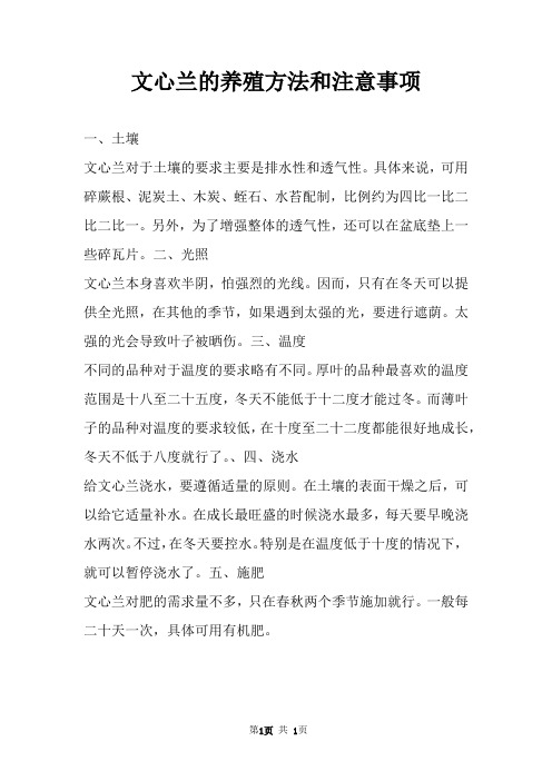 文心兰的养殖方法和注意事项 