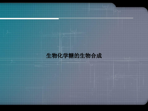 生物化学糖的生物合成优选演示