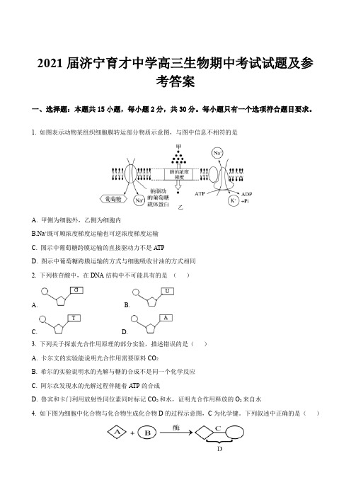 2021届济宁育才中学高三生物期中考试试题及参考答案