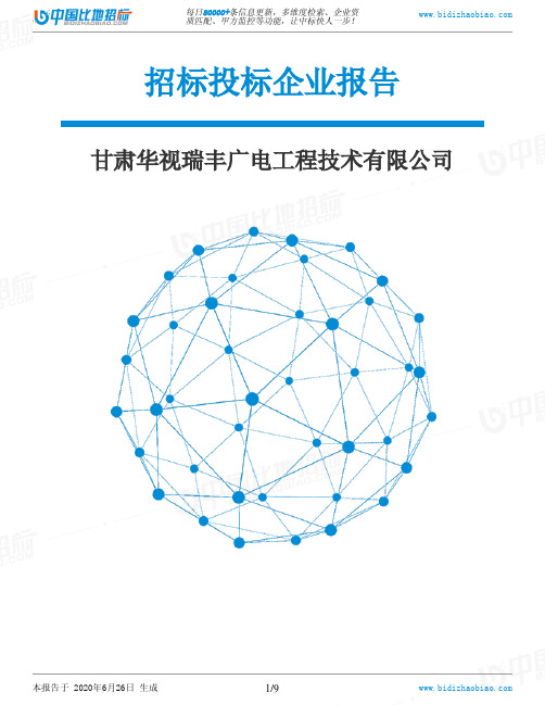 甘肃华视瑞丰广电工程技术有限公司-招投标数据分析报告