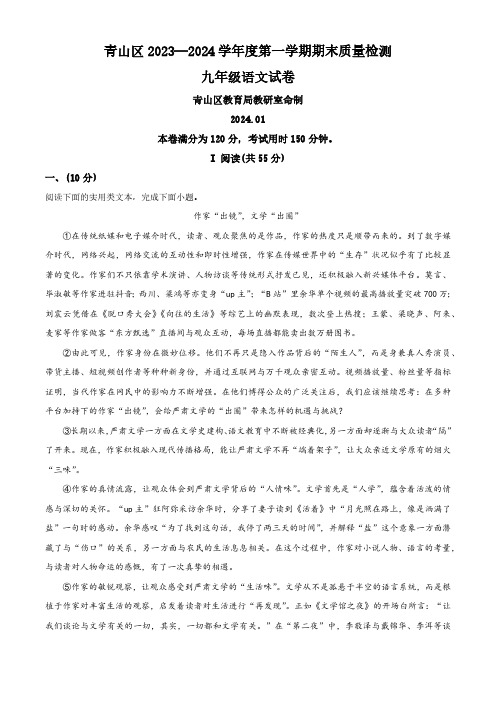 精品解析：湖北省武汉市青山区2023-2024学年九年级上学期期末语文试题(解析版)