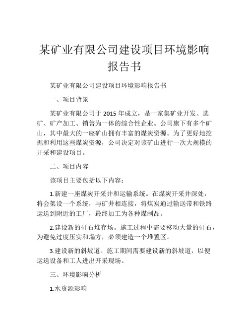 某矿业有限公司建设项目环境影响报告书