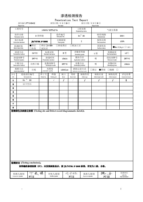 渗透检测报告 数据资料