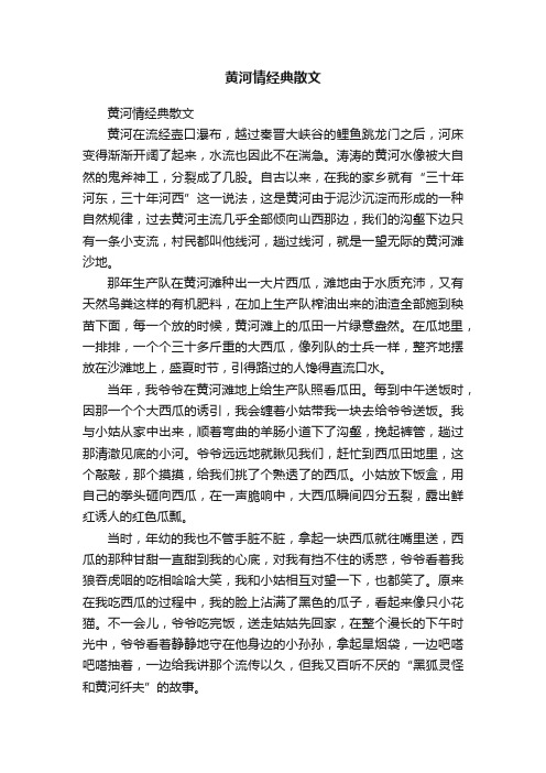 黄河情经典散文