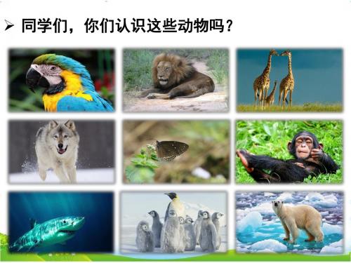 部编版语文二年级(上)识字3 拍手歌