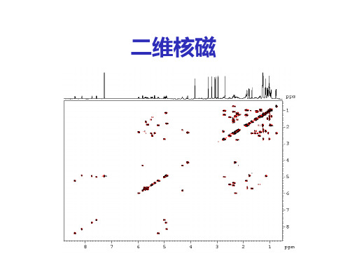 南开大学实用核磁技术 lecture 5---二维谱COSY