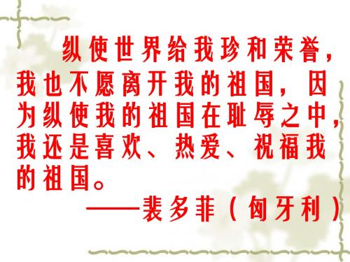 6《最后一课》优秀PPT课件