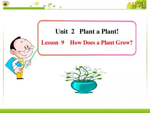 精品课件：Unit2 Plant a Plant!Lesson 9 课件 (冀教版八年级下)