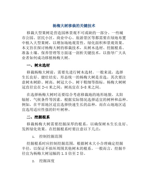 杨梅大树移栽的关键技术