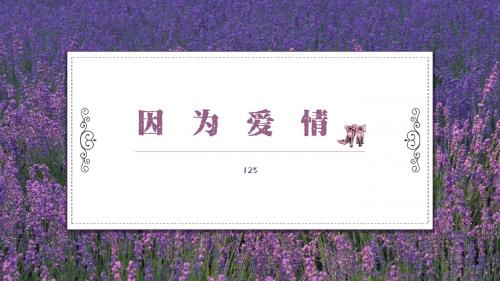 唯美浪漫薰衣草婚礼婚纱PPT婚礼策划