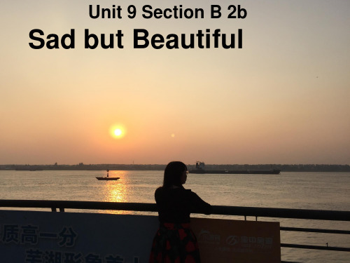 Unit 9-sad but beautiful(课堂PPT)