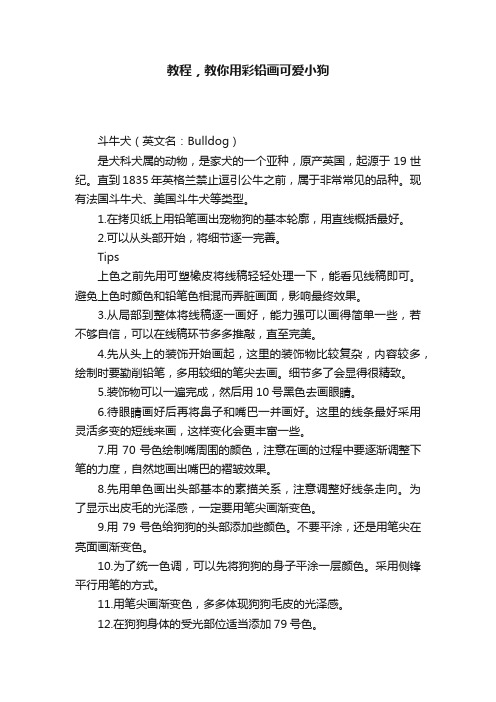 教程，教你用彩铅画可爱小狗