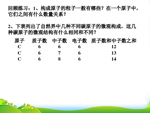 人教九年级化学上册 第三单元 课题3 元素(共19张PPT)