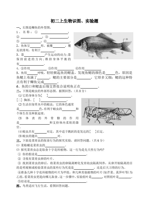 初二上生物识图