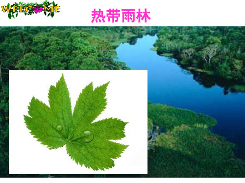 自然地理环境的整体性 PPT课件