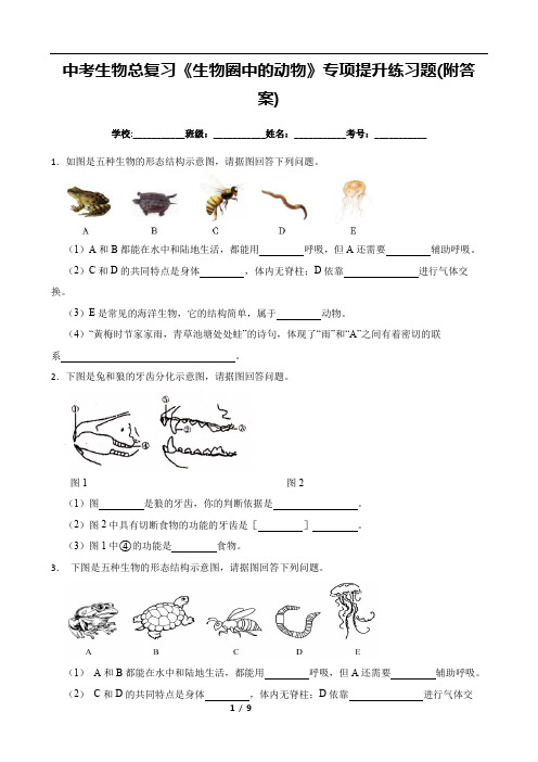 中考生物总复习《生物圈中的动物》专项提升练习题(附答案)