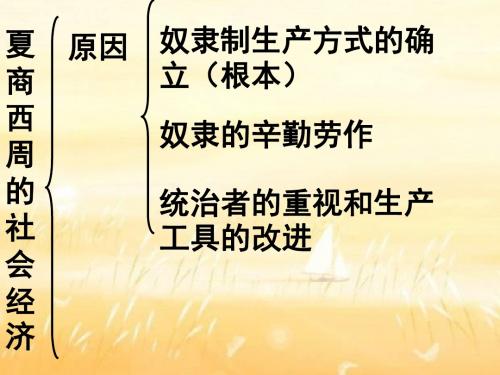 【高中历史】夏、商、西周的社会经济PPT课件