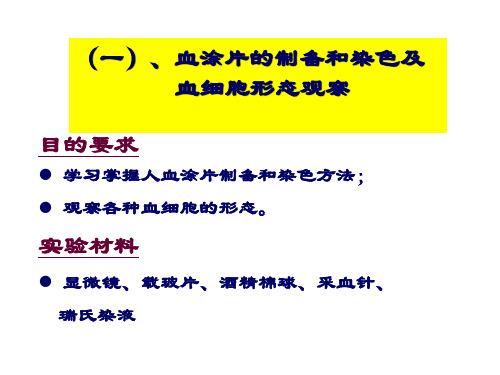 实验五血涂片的制备和染色血细胞形态观察与血型鉴定