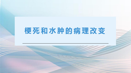 梗死和水肿的病理改变