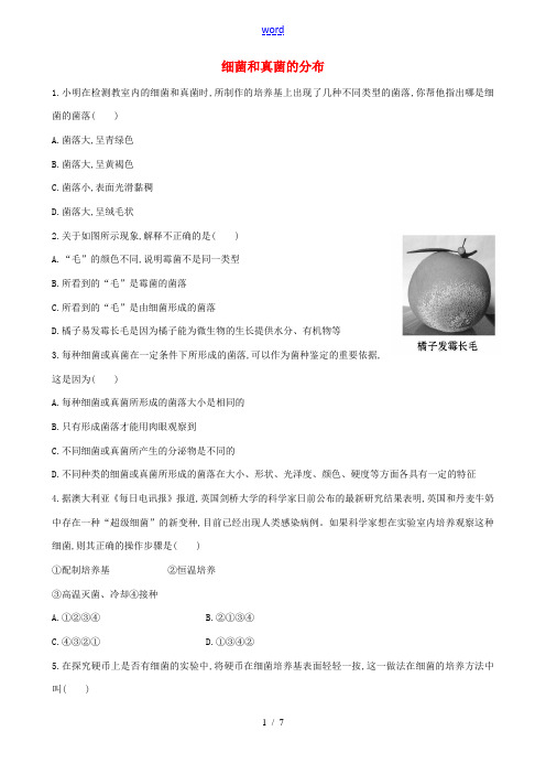 七年级生物下册 第六单元 第一章 第一节 细菌和真菌的分布同步训练题(含解析) 鲁科版五四制-鲁科版