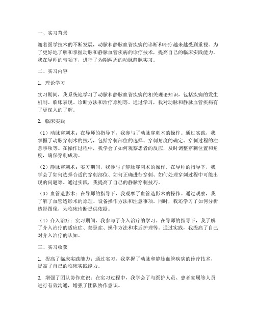 动脉静脉实习报告