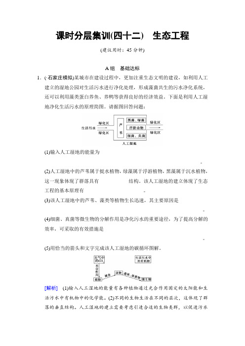 高考生物专题集训(含答案)：42 生态工程