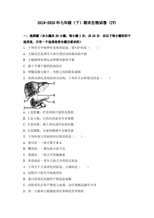 2019-2020年七年级(下)期末生物试卷 (IV)