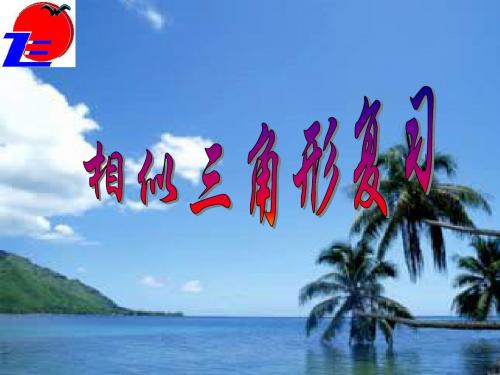 相似三角形的复习