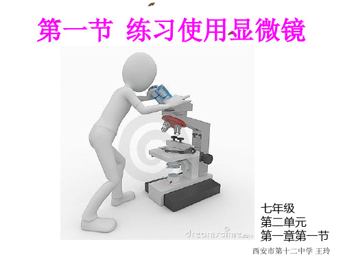 人教生物七上2.1.1练习使用显微镜 课件 (共20张PPT)