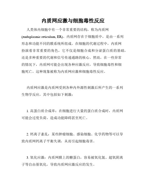 内质网应激与细胞毒性反应