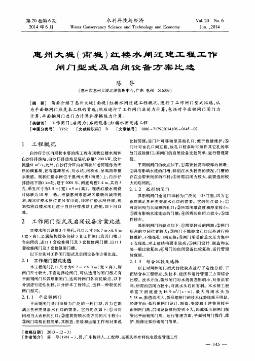 惠州大堤(南堤)红楼水闸迁建工程工作闸门型式及启闭设备方案比选