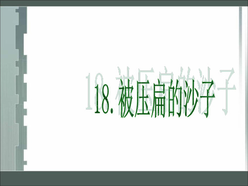 最新人教版初中八年级初二语文上册被压扁的沙子精品课件