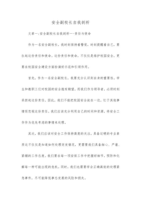 安全副校长自我剖析