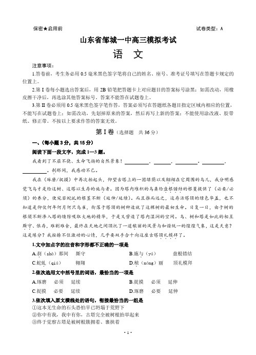 山东省邹城一中高三下学期4月模拟考试语文试卷(Word版,含答案)