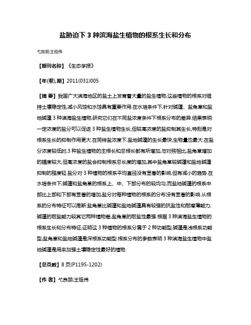 盐胁迫下3种滨海盐生植物的根系生长和分布