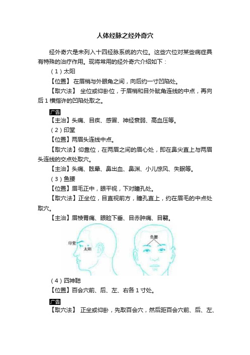 人体经脉之经外奇穴