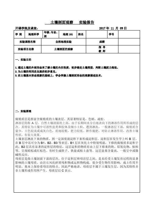 土壤剖面观察实验报告