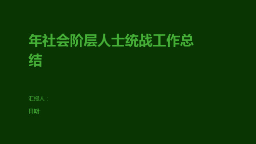 年社会阶层人士统战工作总结