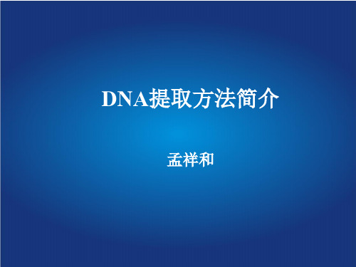 DNA提取