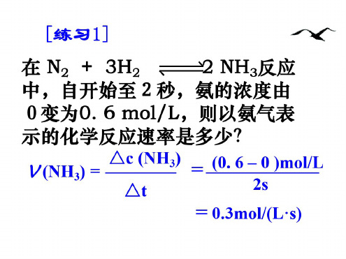 高一化学化学反应速率和限度2(2)