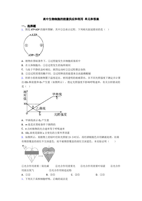 高中生物细胞的能量供应和利用 单元和答案