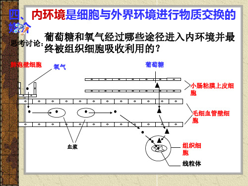 人体体温及调节(讲课)