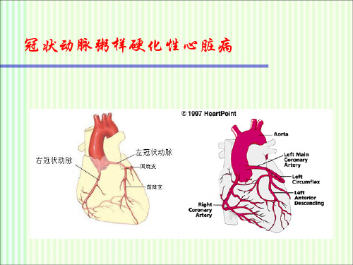 内科学：冠状动脉粥样硬化性心脏病