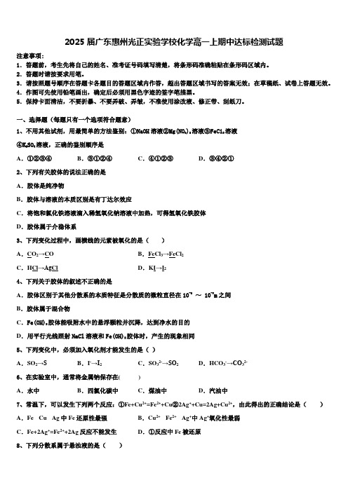 2025届广东惠州光正实验学校化学高一上期中达标检测试题含解析