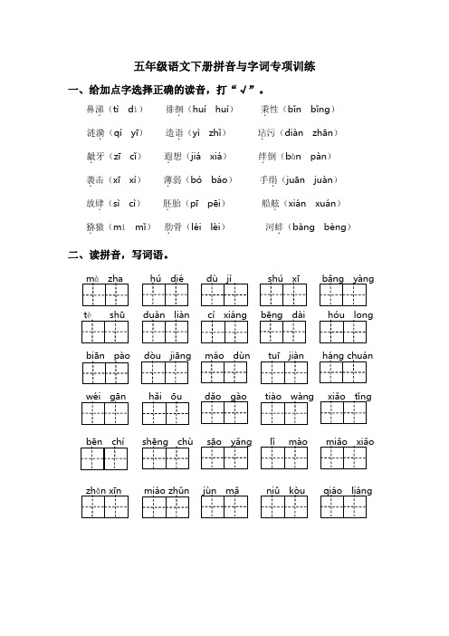 五年级语文下册拼音与字词专项训练