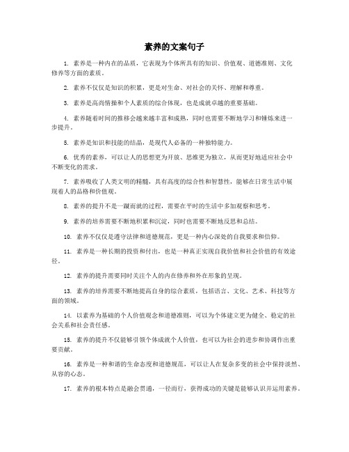 素养的文案句子