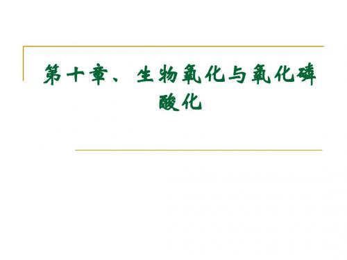 生物化学第10章、生物氧化与氧化磷酸化